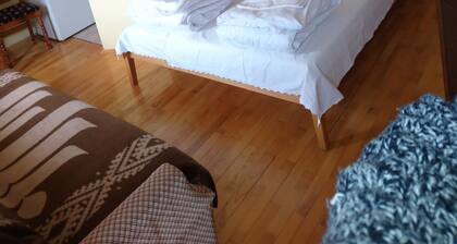 Apartments Vicko