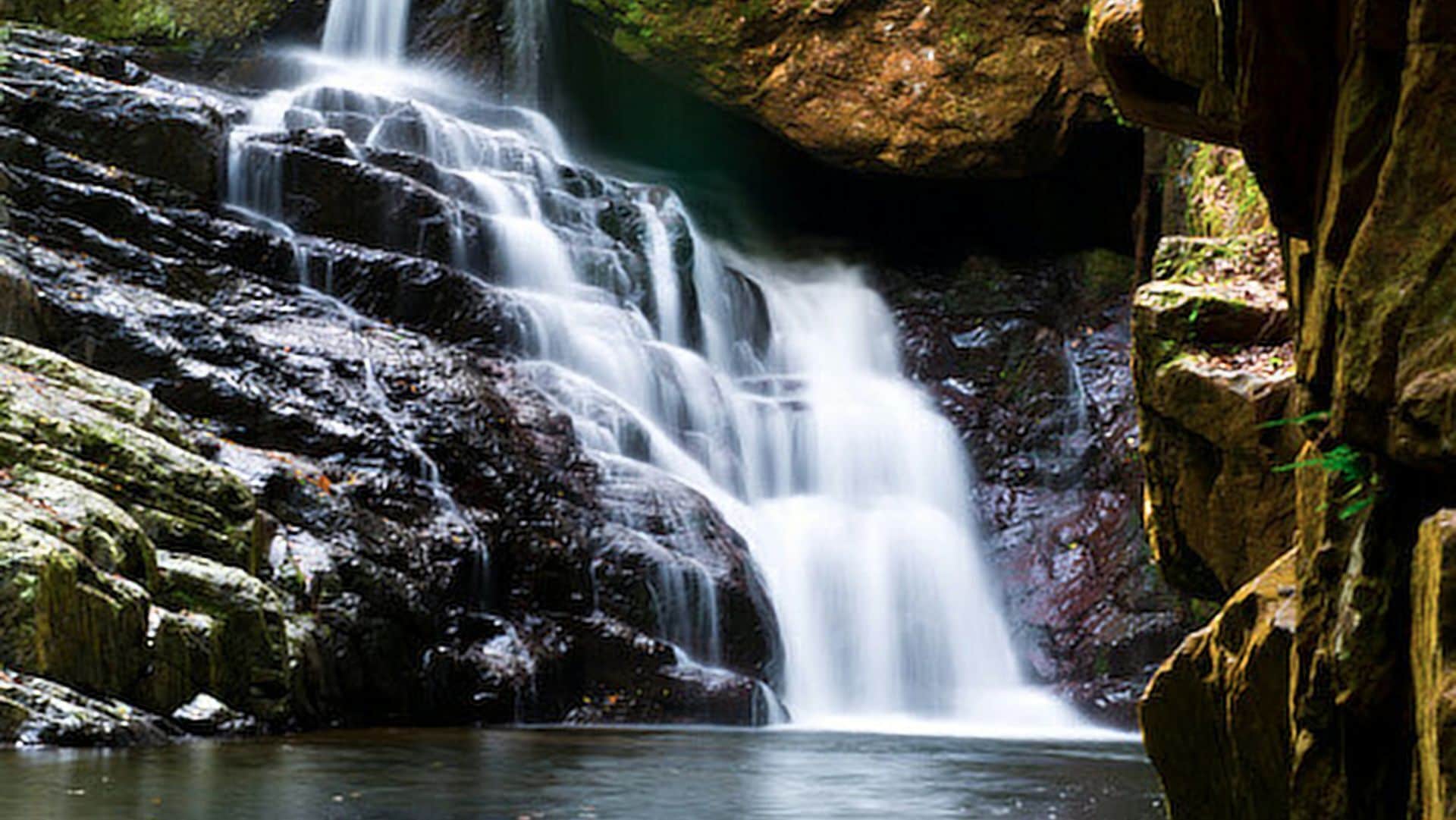 Wanggulay Too Treetops Cairns City