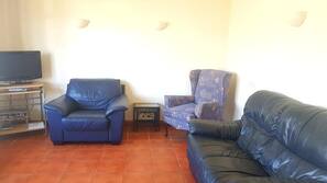 Flat-screen TV