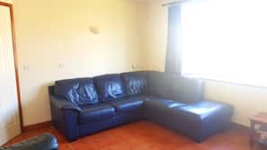 Flat-screen TV