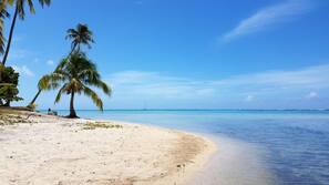 Plage à proximité, plongée sous-marine