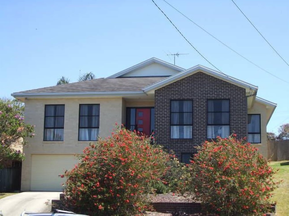 Windfall Scotts Head