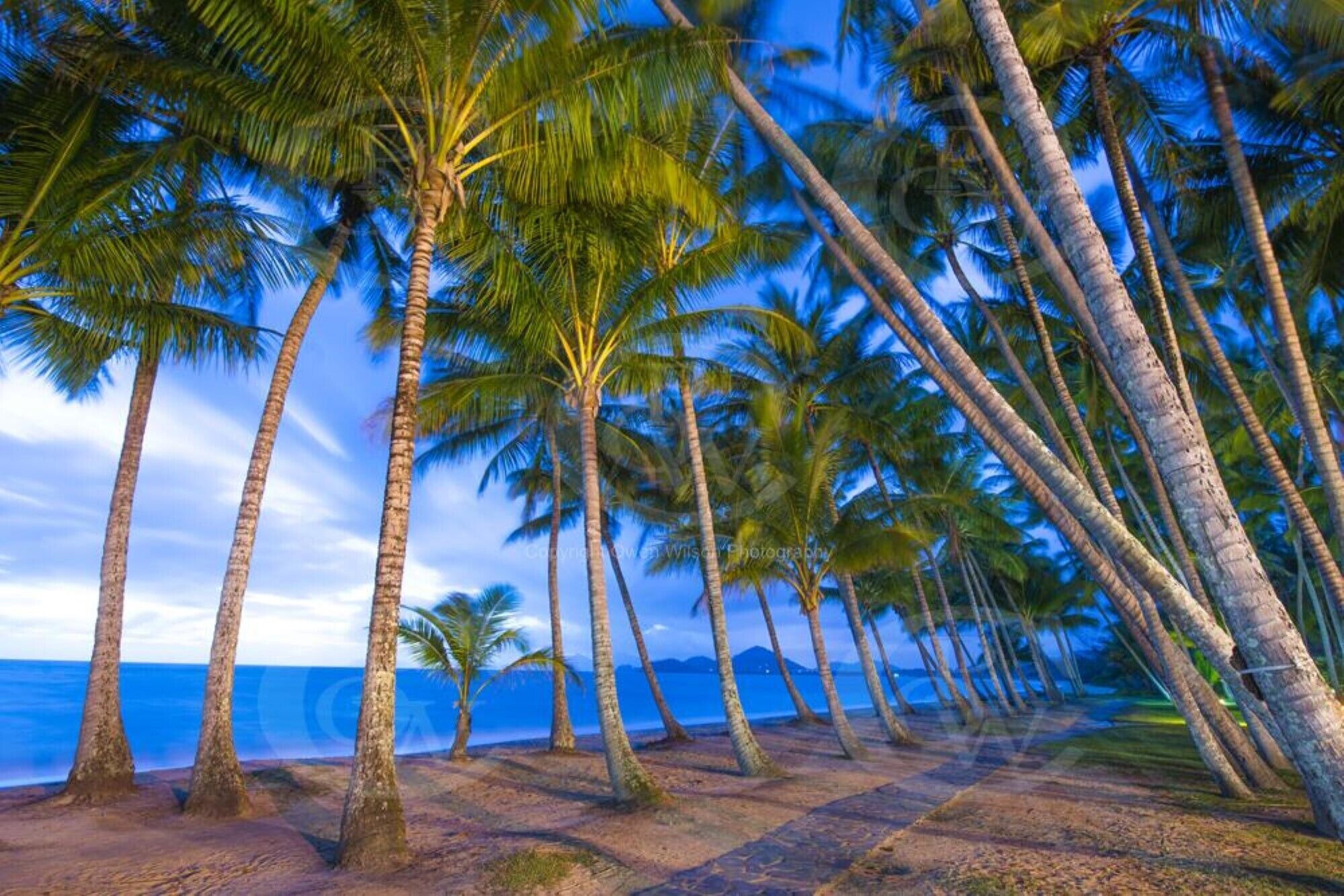 Tranquility Chill at Palm Cove - The Ideal Family Accommodation