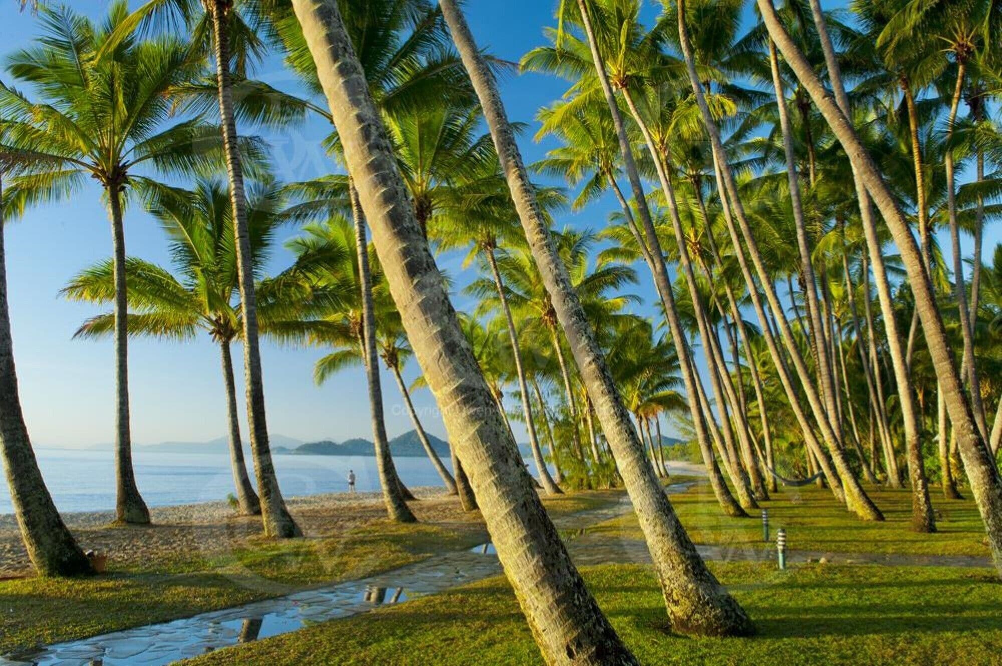 Tranquility Chill at Palm Cove - The Ideal Family Accommodation