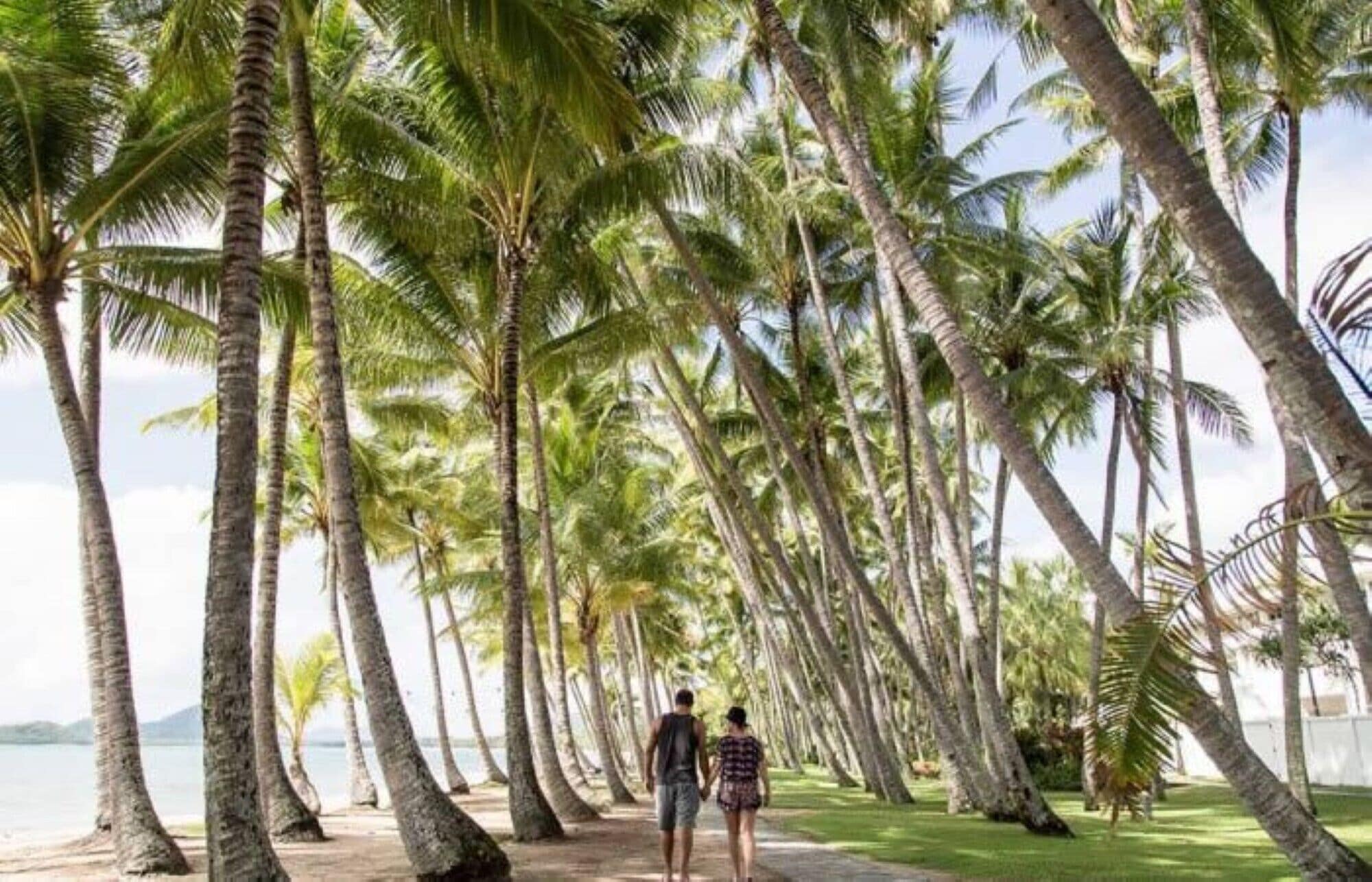 Tranquility Chill at Palm Cove - The Ideal Family Accommodation