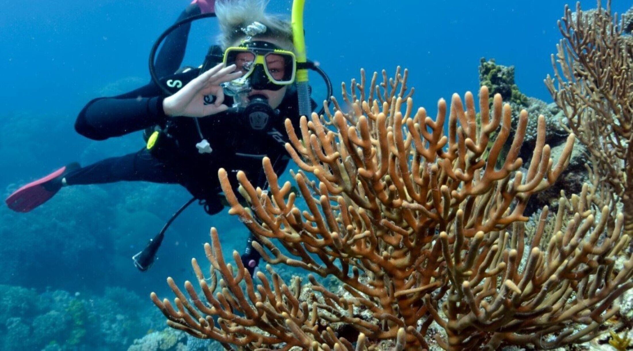 Tranquility Chill at Palm Cove - The Ideal Family Accommodation