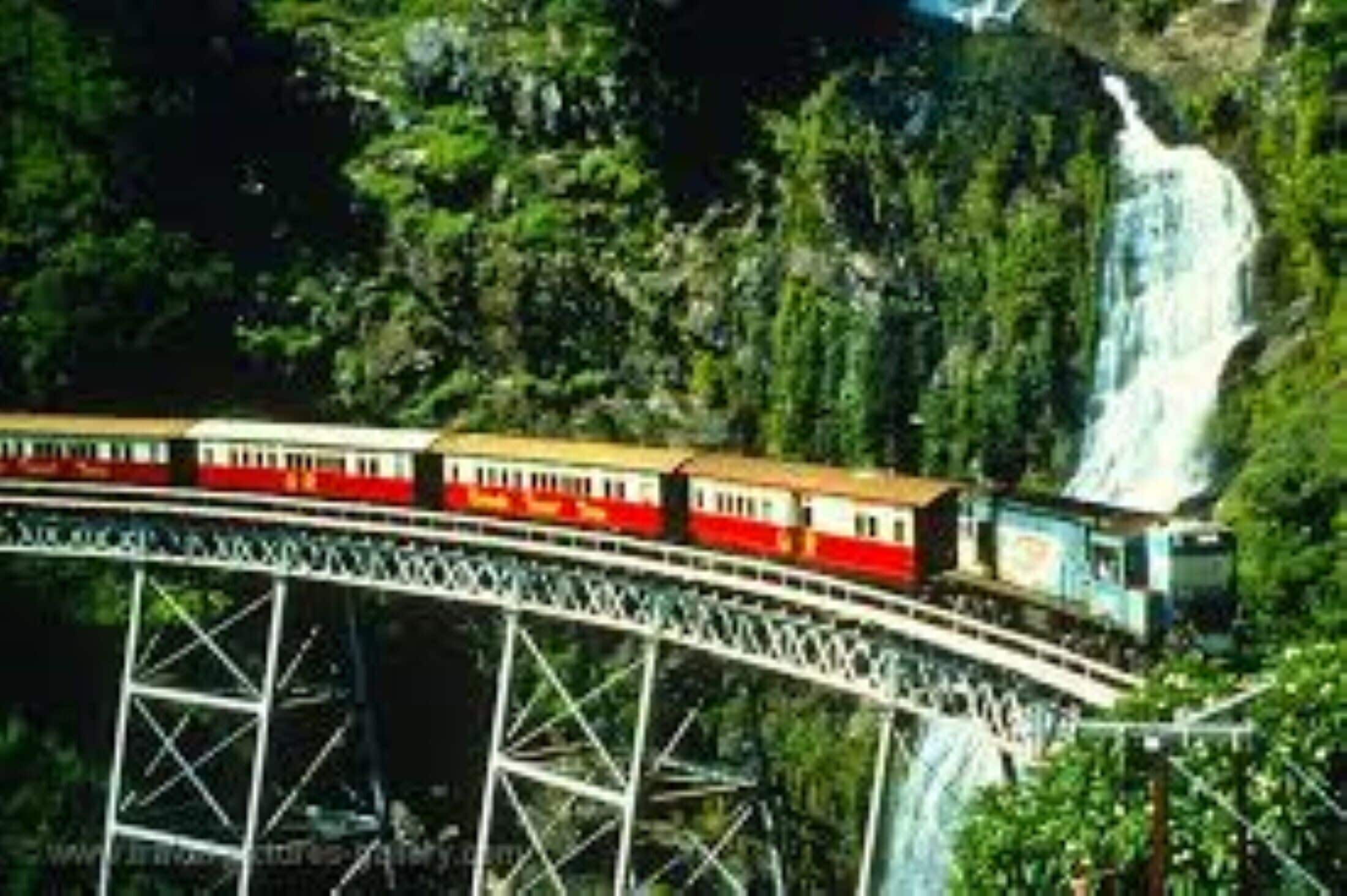 Tranquility Chill at Palm Cove - The Ideal Family Accommodation