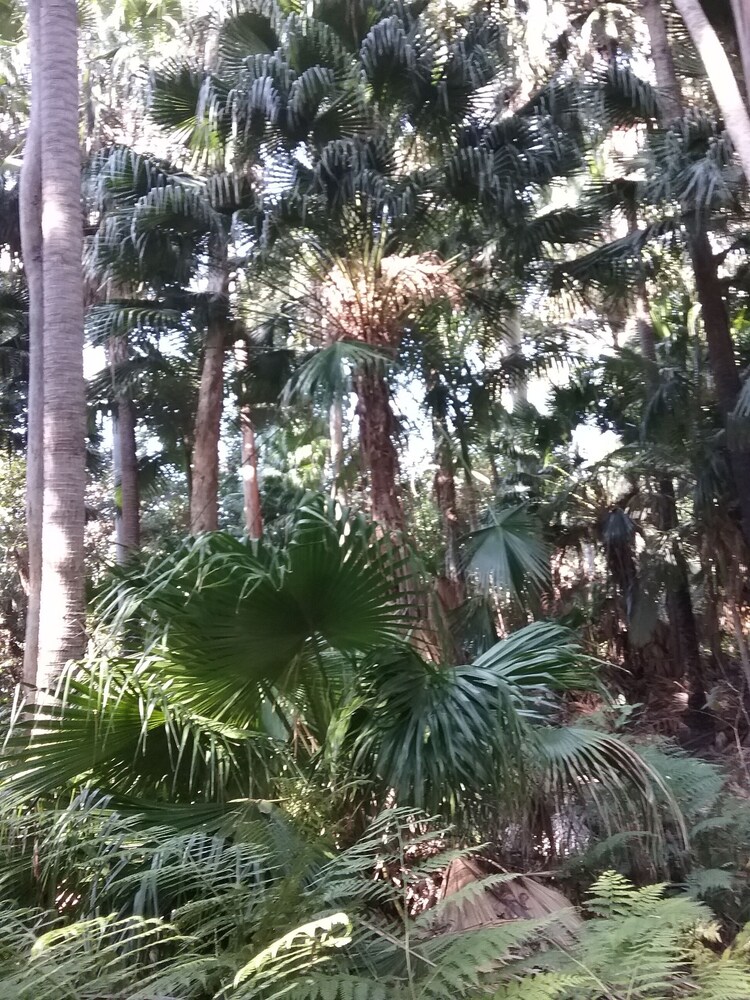 Alex Headland/mooloolaba Beach. Spacious 5 Bedroom Home, Beach, Forest, Free wif