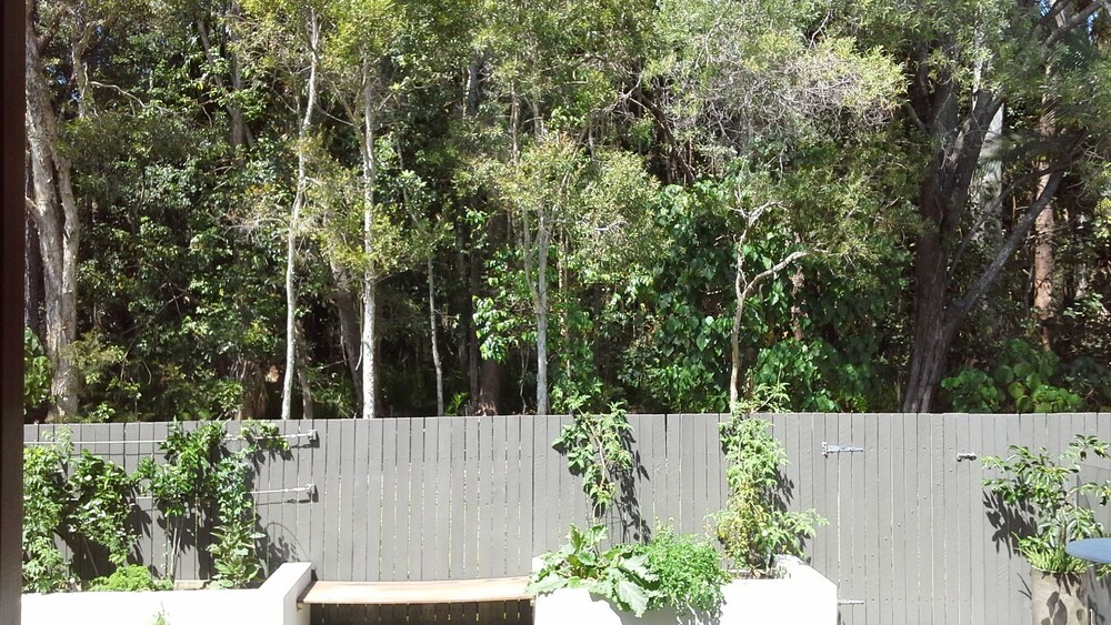 Alex Headland/mooloolaba Beach. Spacious 5 Bedroom Home, Beach, Forest, Free wif