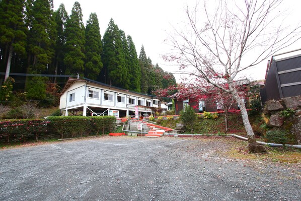 Primary image