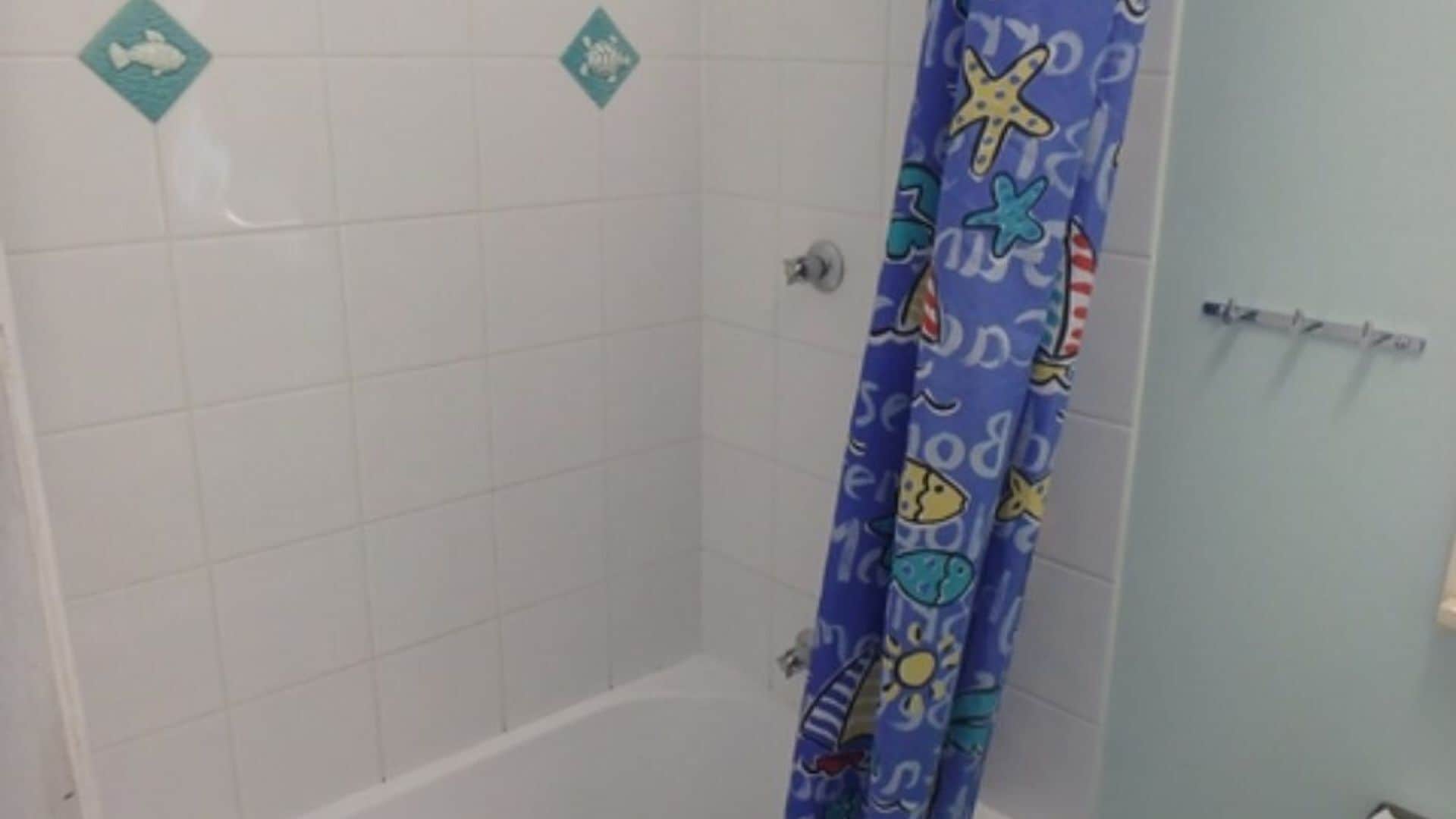 Booyong ST 5 - Evans Head, NSW