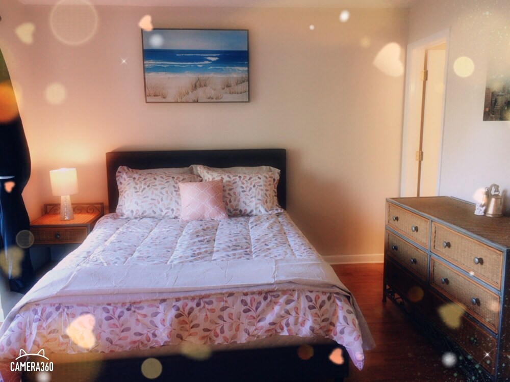 Wonderful Waterfront Entire 1 Bedroom Apartment In Tampa