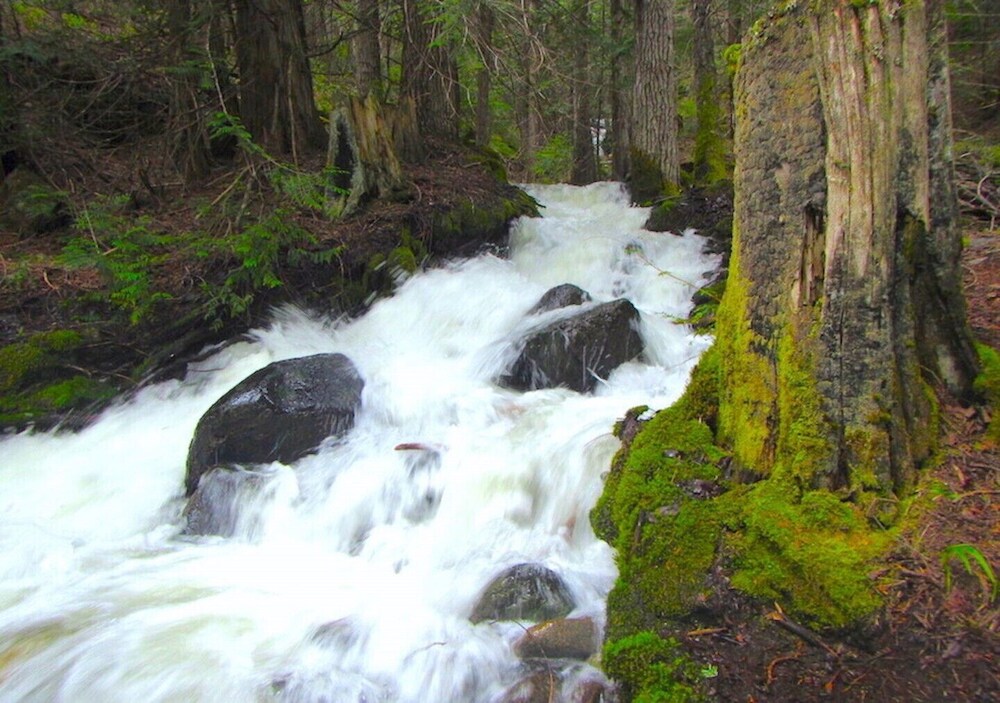 Boutique Mountain Lodge, 4 cabins, 20 km South of Nelson Deals & Reviews (Ymir, CAN) Wotif