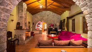 TV, fireplace, books, music library