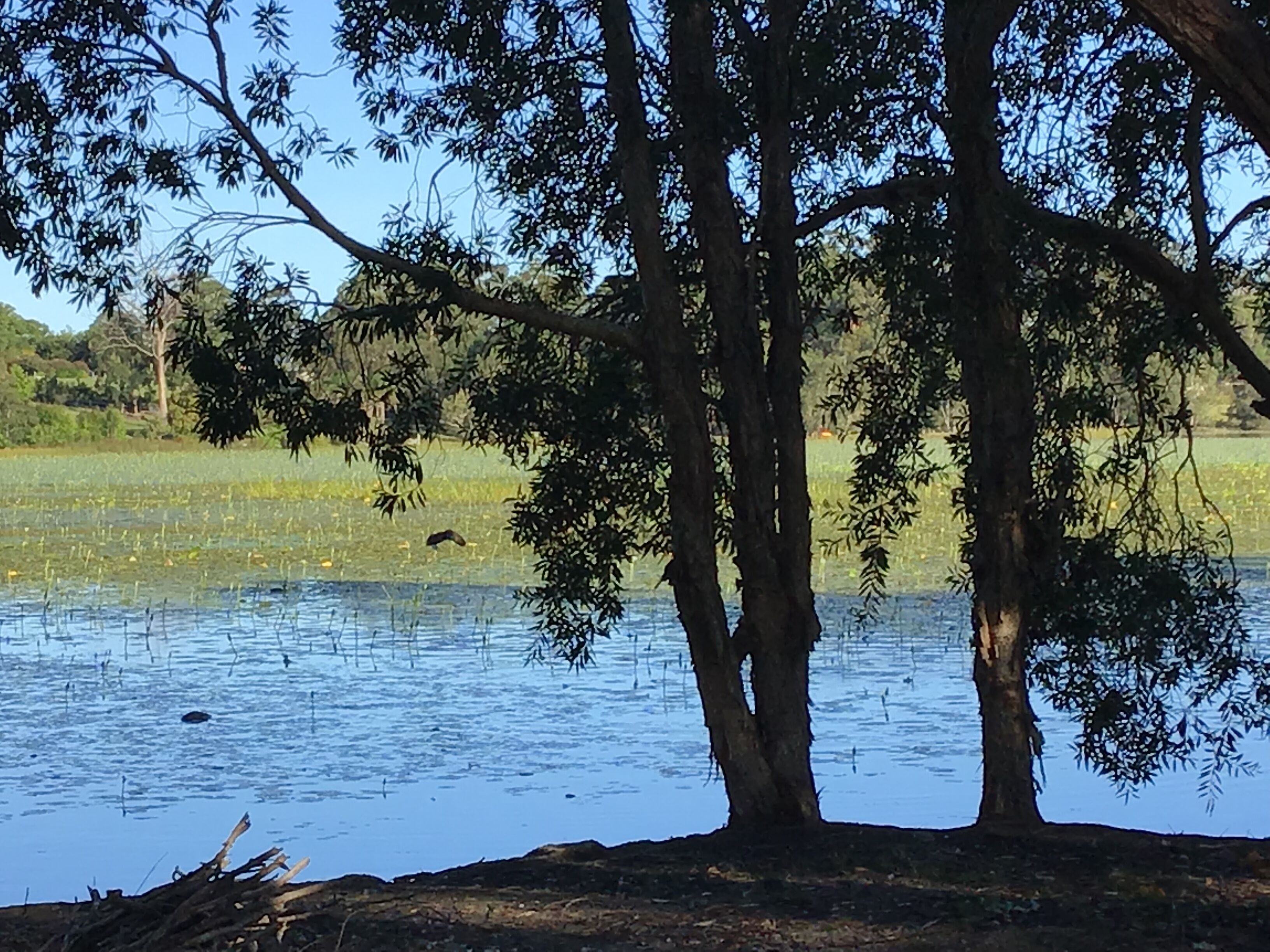 Lakeside Retreat location