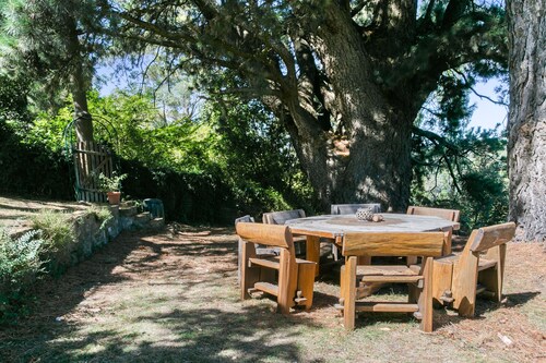 Best Katoomba Cottages For 2020 Find Cheap 48 Cottage Rentals