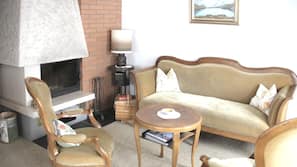 Fireplace, video-game console, DVD player