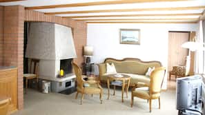 Fireplace, video-game console, DVD player