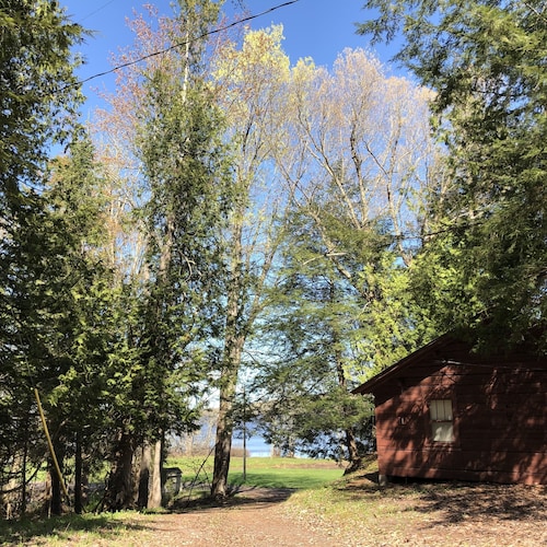 Manninen S Cabins Yksi Cabin On Otter Lake 15 Miles From