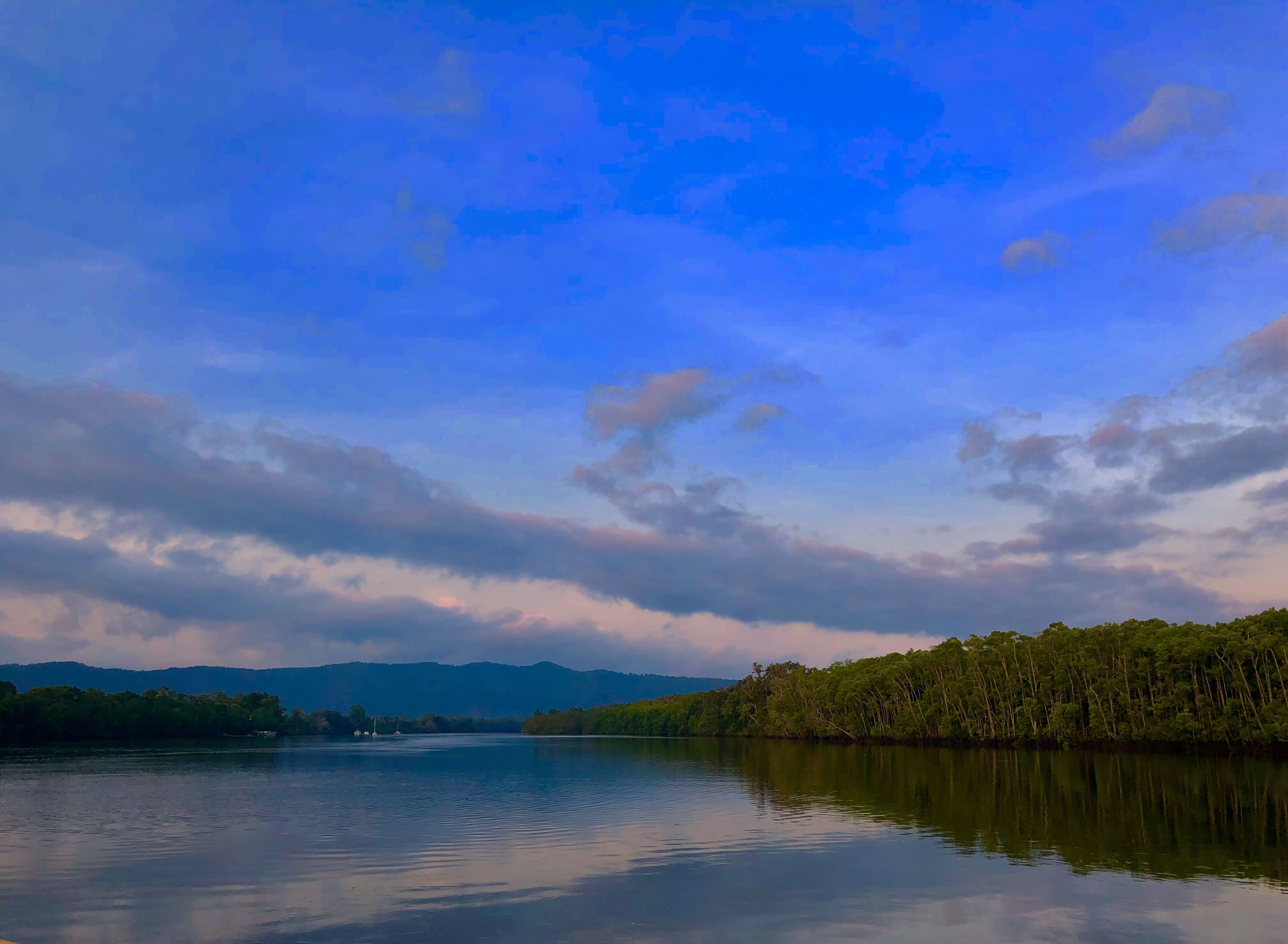 Daintree Manor Bed & Breakfast