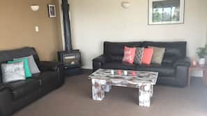 TV, fireplace, DVD player, toys