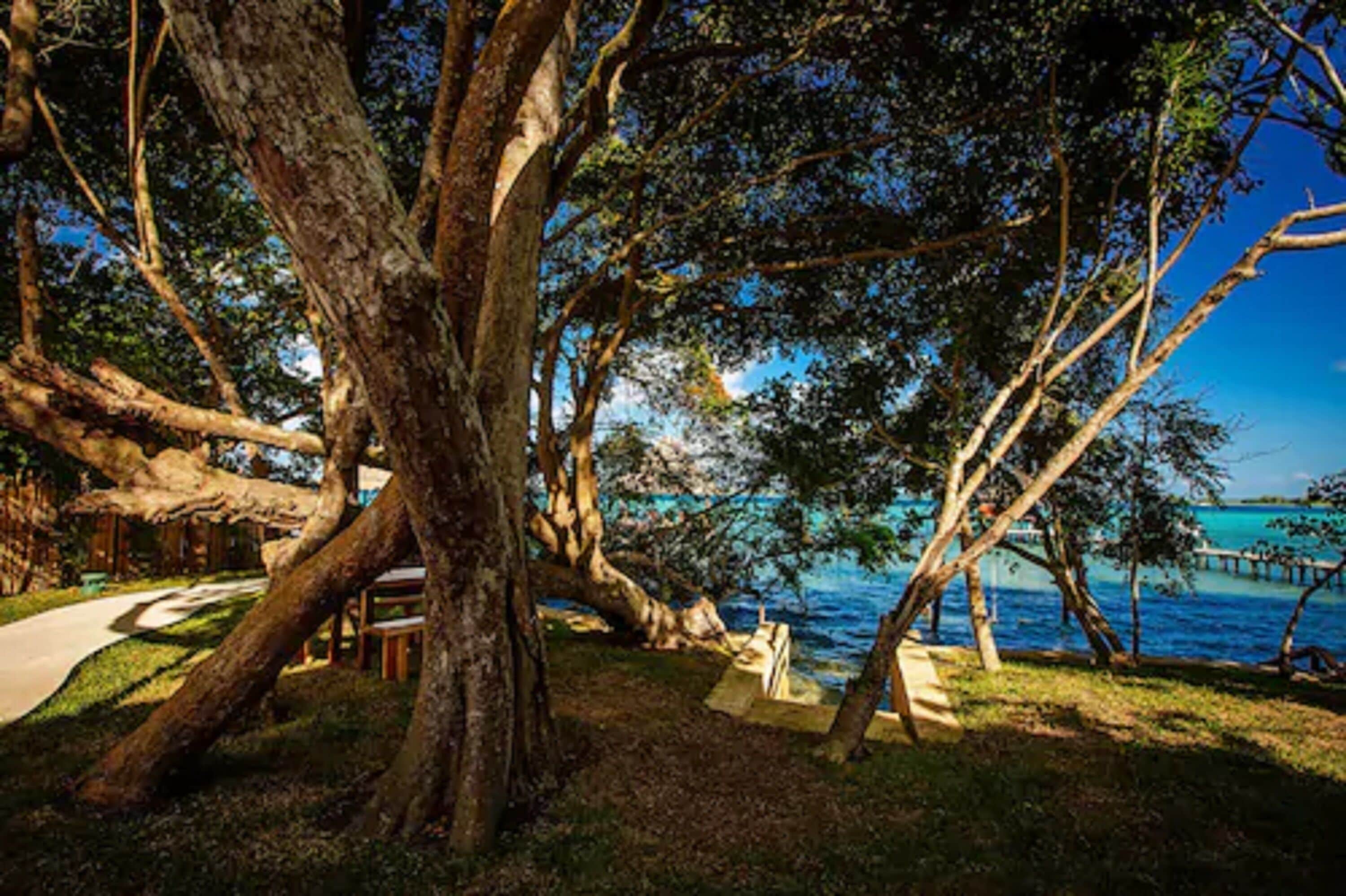 Hotel Carolina Bacalar in Chetumal, Mexico