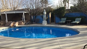 Outdoor pool, sun loungers