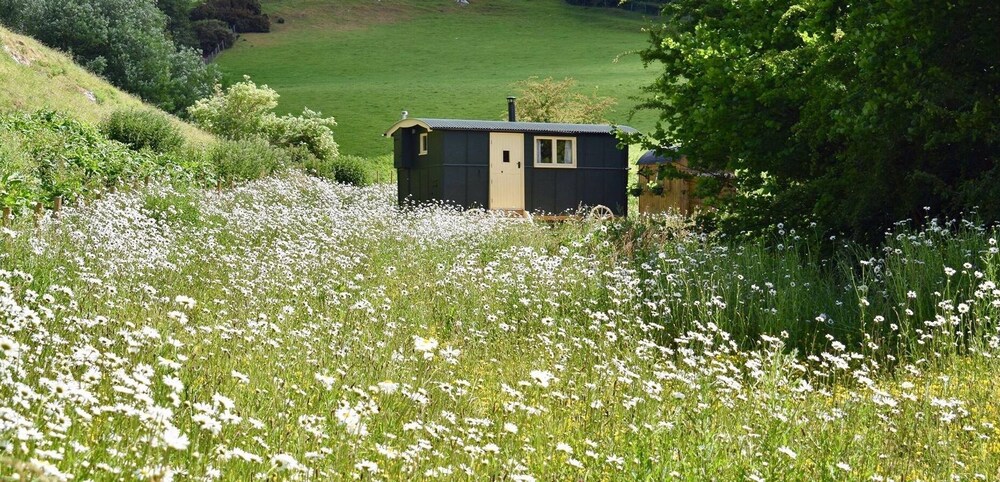 A Tranquil, Peaceful and Beautiful, Retreat From the Bustle of Modern Life! in Saint Asaph, United Kingdom