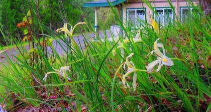 The Kelly Mountain Lodge @ Cascade Ranch Holiday home 11 BestStayz.1