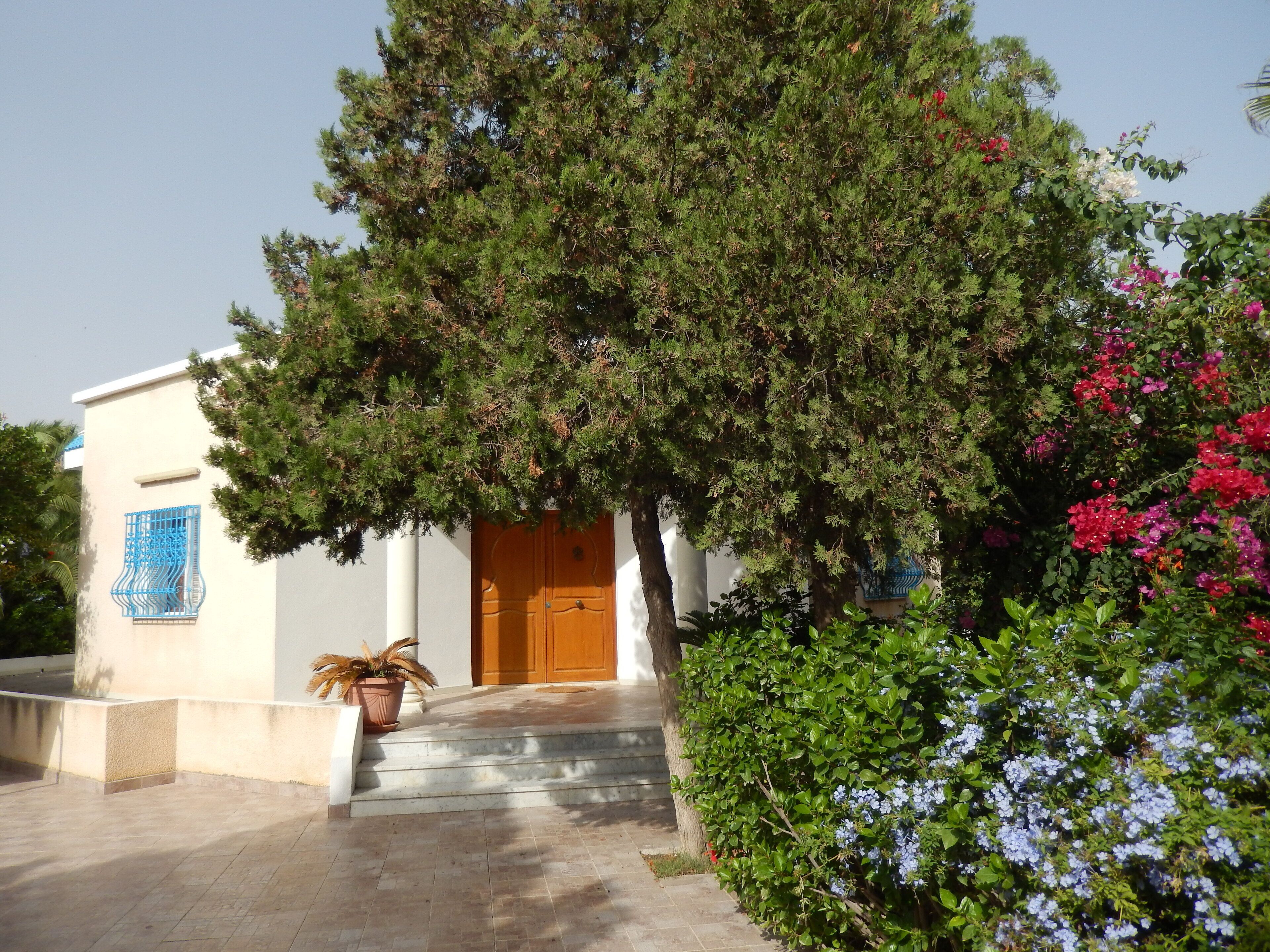 Charming Villa In Chott Meriem Kantaoui Sousse Sea View Flowered Garden With Trees Chott Mariem Tun Expedia Fr