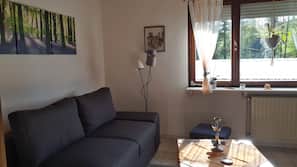 Fernseher, DVD-Player, Bücher, Videothek
