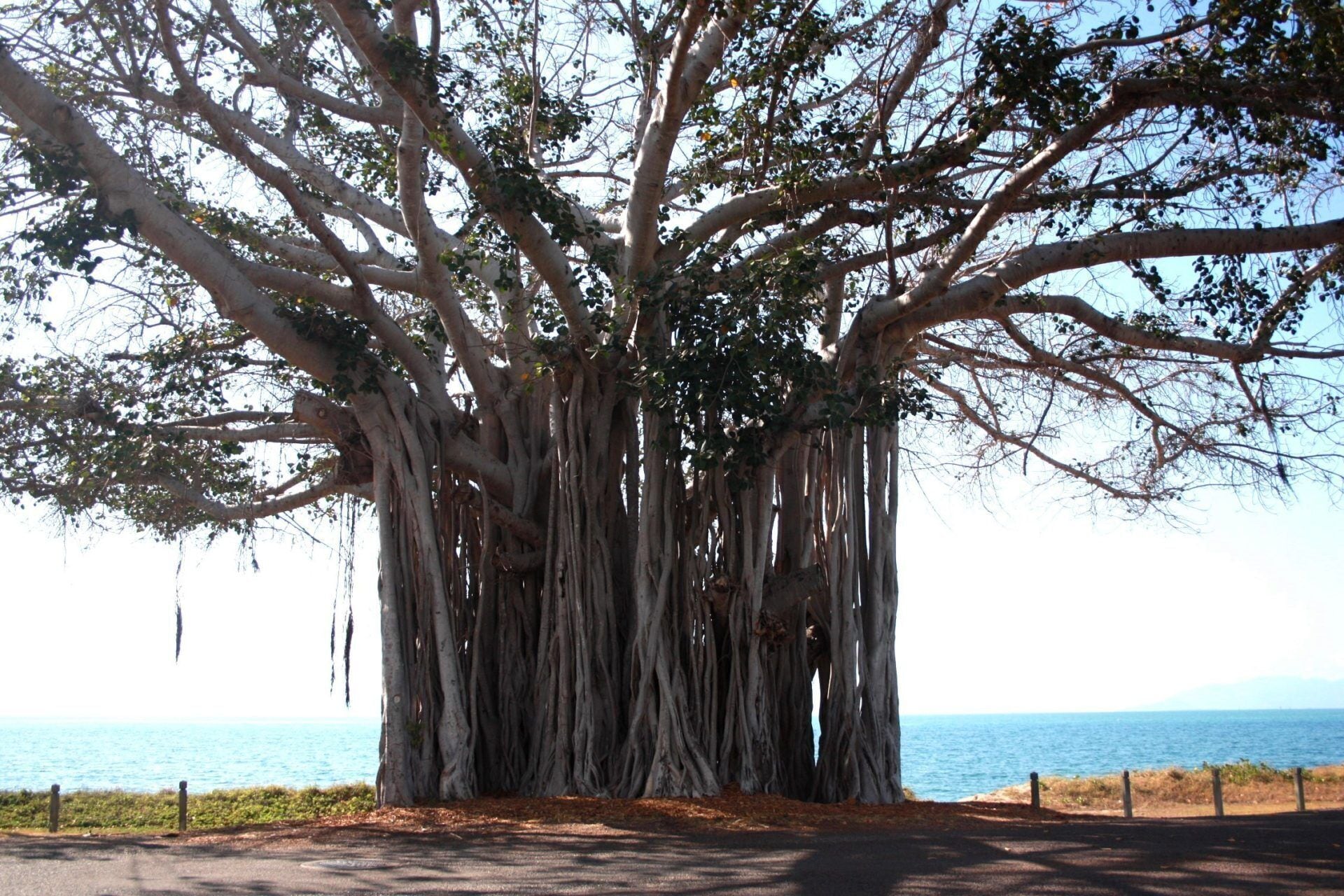 Beachside Palms Unit 3