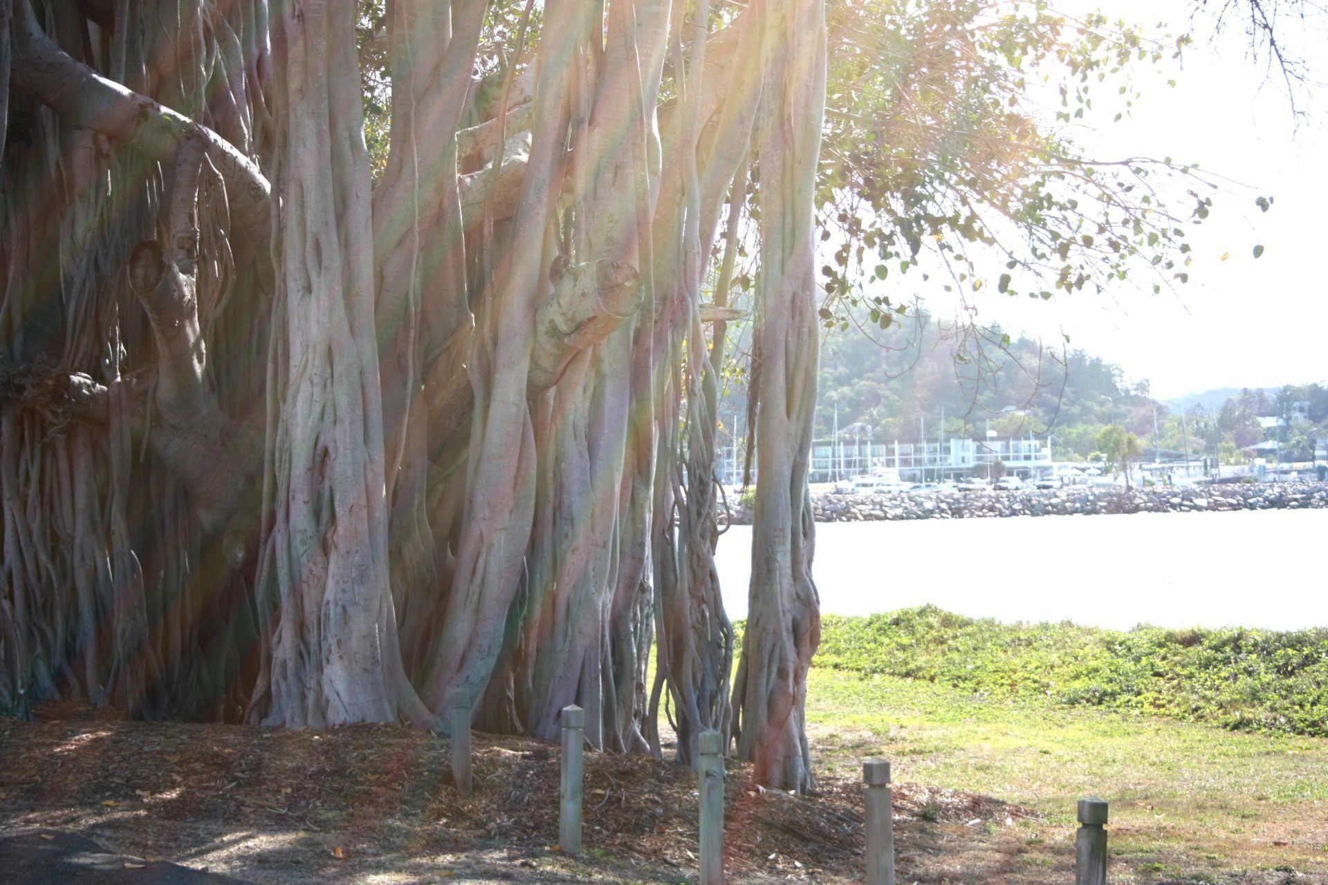 Beachside Palms Unit 3