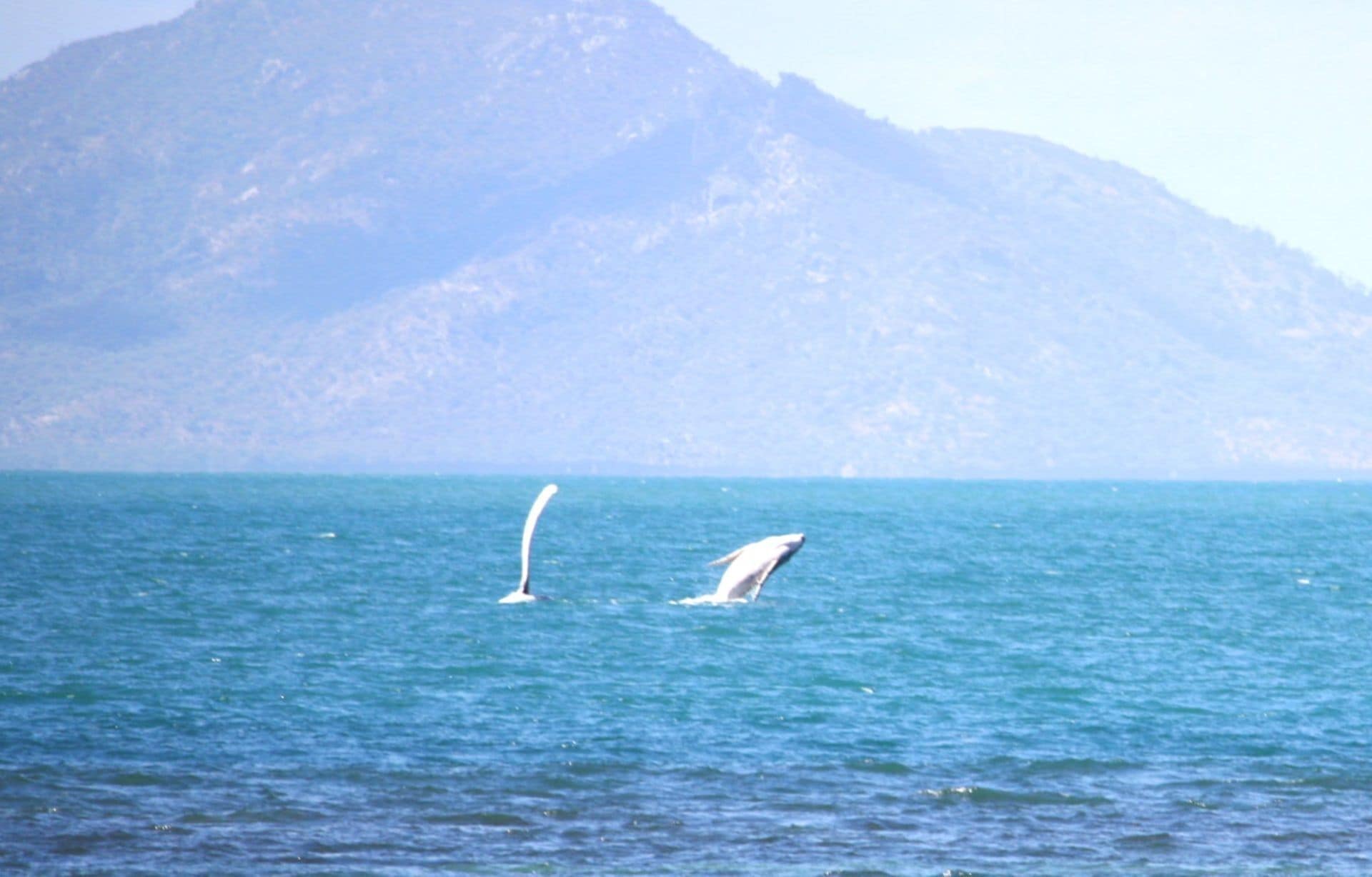 Beachside Palms Unit 3