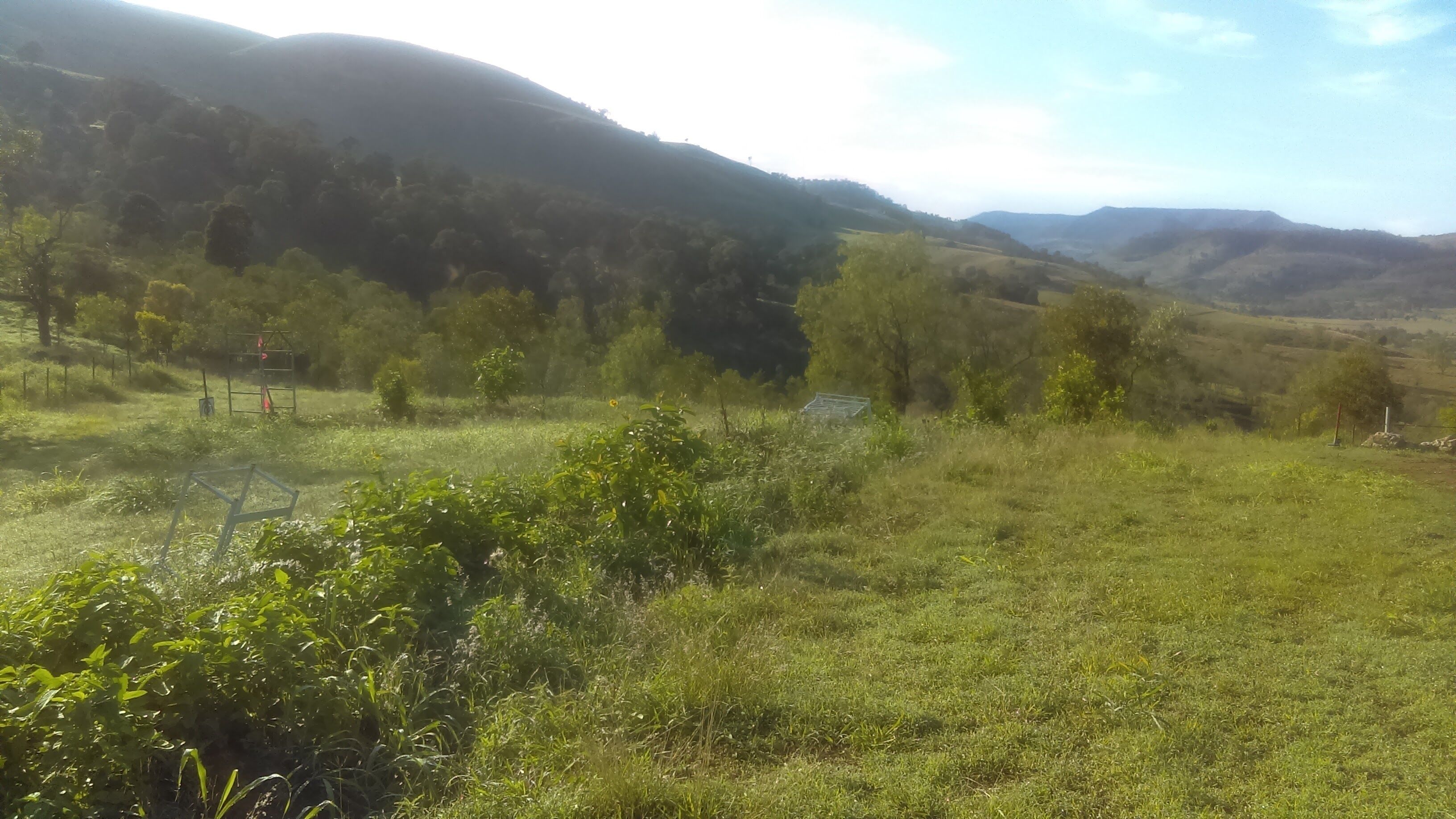 Escape to the Country