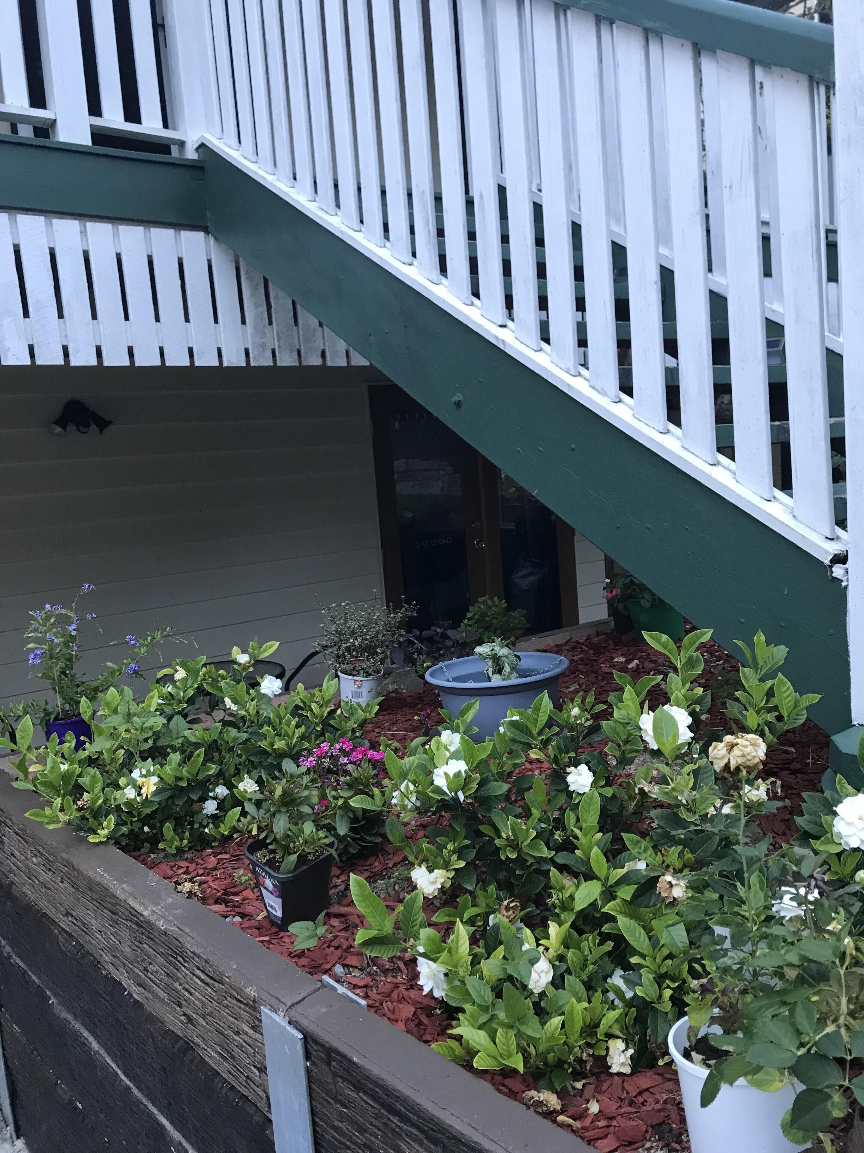 Modern Self Contained Unit, Close to Brisbane CBD