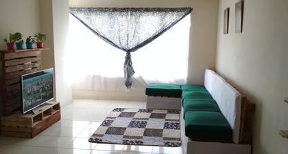 Cozy Broga Pallet TiaraEast