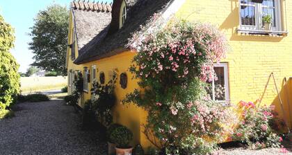 Bella Bed and Breakfast Stevns