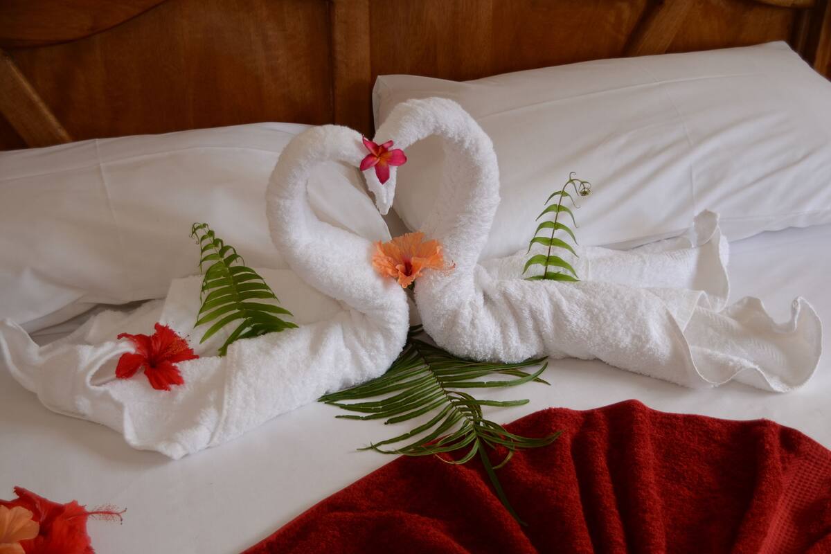 Beau Vallon Affordable 1 Bedroom Apartment In Mahe Island Expedia