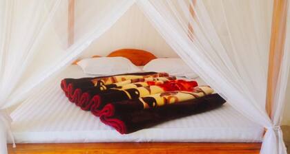 Lilly Guest Inn