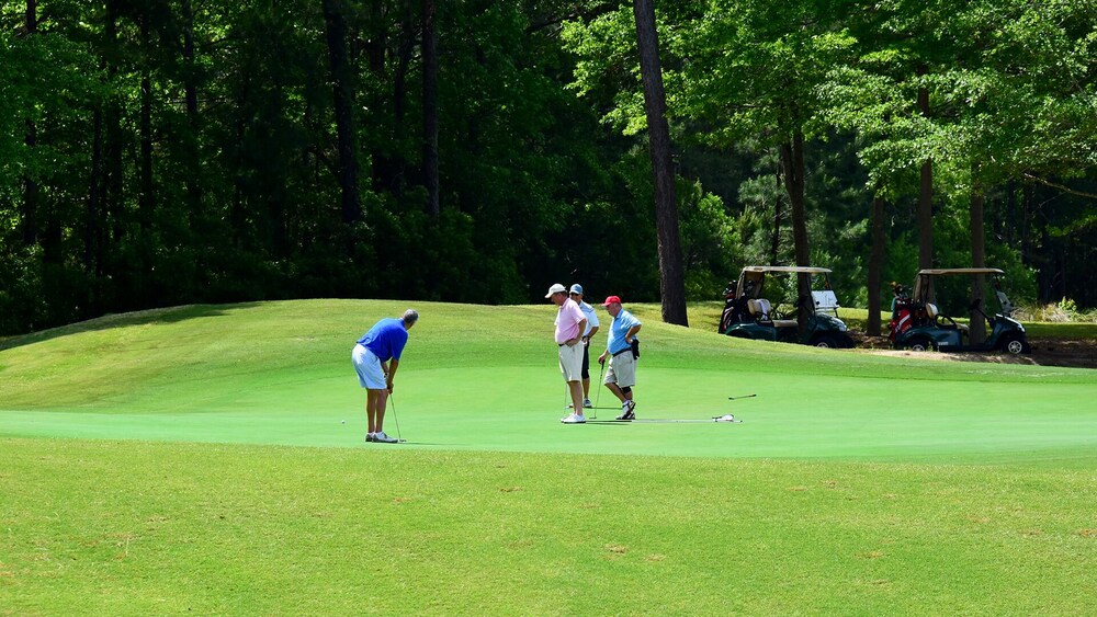 PAR TEE at the 17th Hole II- 45 minutes from Myrtle Beach