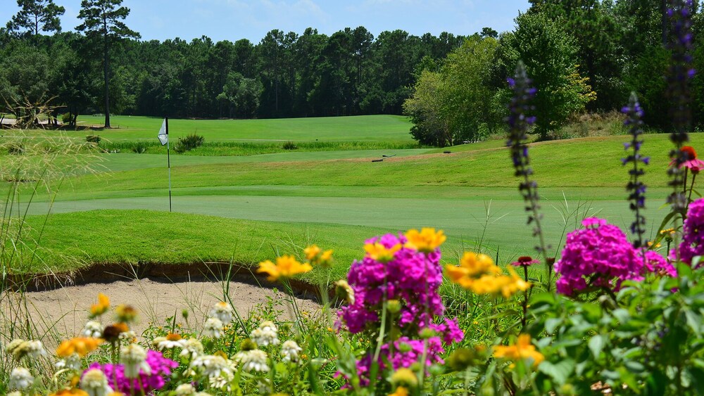 PAR TEE at the 17th Hole II- 45 minutes from Myrtle Beach