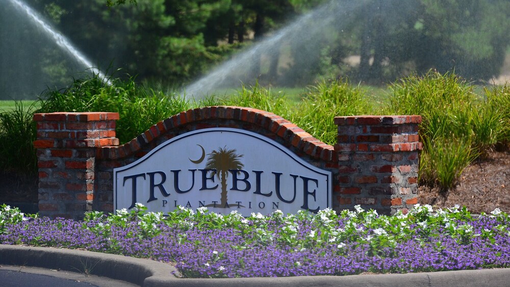 PAR TEE at the 17th Hole II- 45 minutes from Myrtle Beach