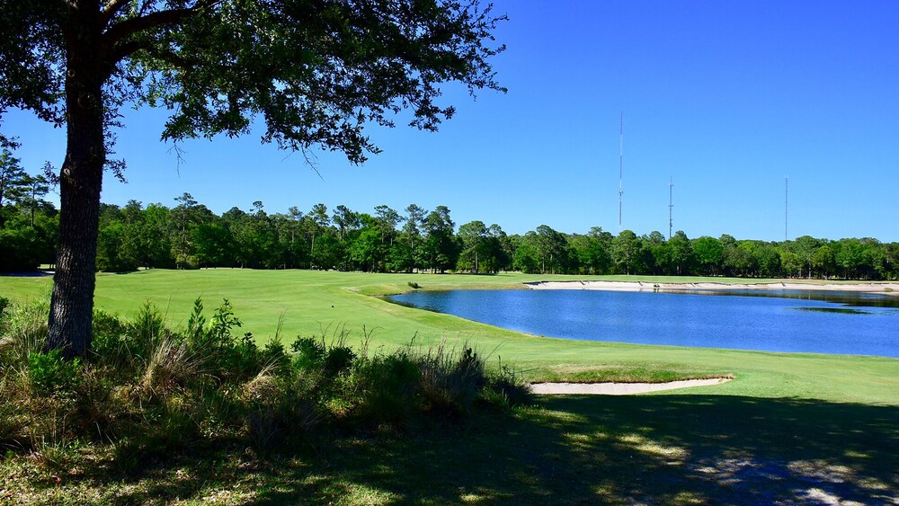 PAR TEE at the 17th Hole II- 45 minutes from Myrtle Beach