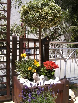 Hotel Haus Christa Deals Reviews Bad Bertrich Deu Wotif