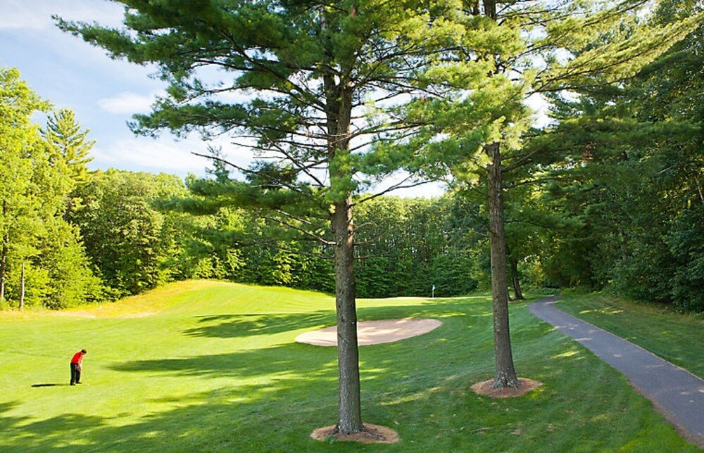 Christmas Mountain Village Resort Golf ski Wisconsin Dells 2br 2ba 