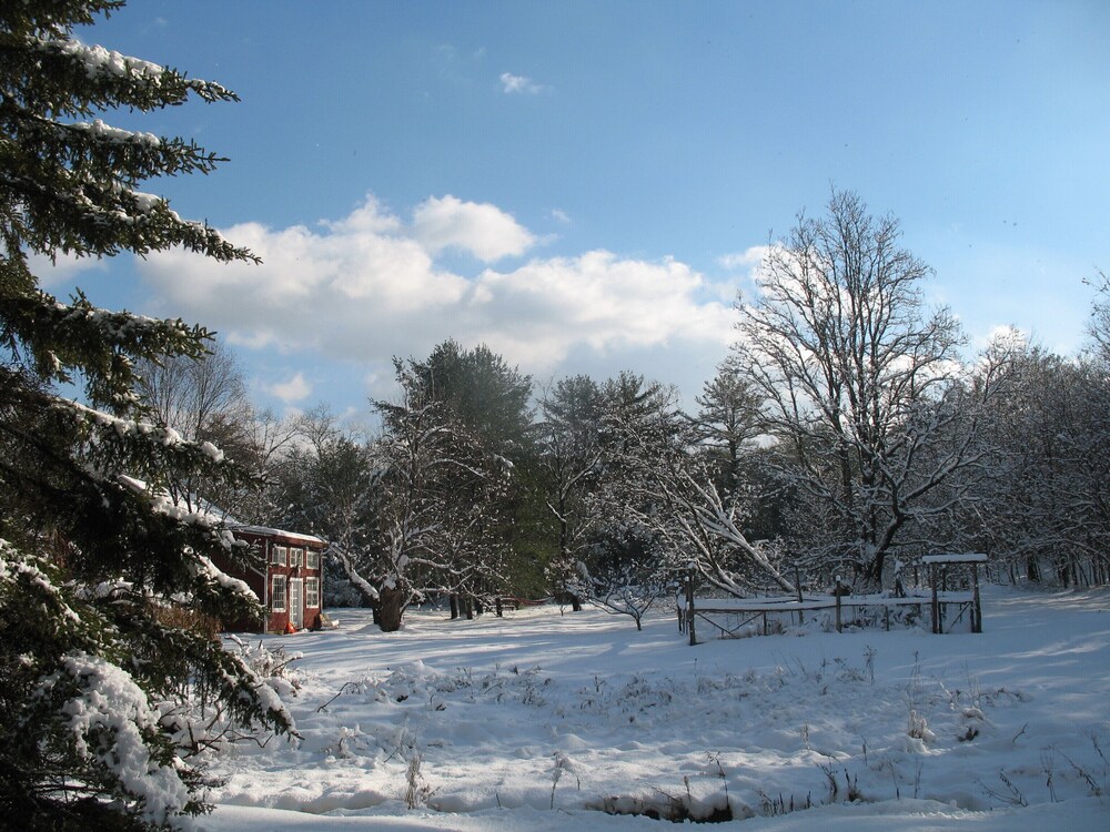 Cozy, quiet, stream-side 1850s farmhouse with meadow, garden and mountain views