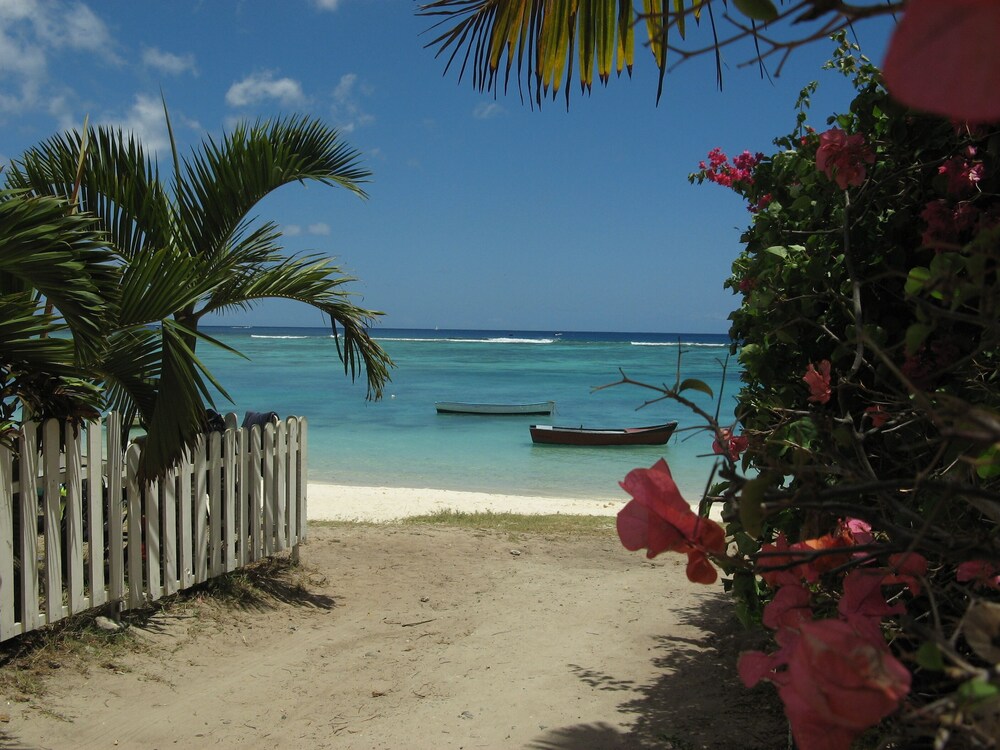 Beach, Beautiful house a few steps from the sea with terrace and tropical garden