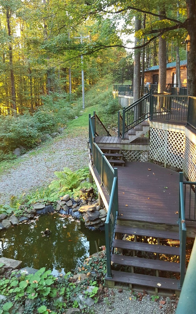Cabin Near Elkins WV, Hot Tub & Sauna Close to Dolly Sods ...