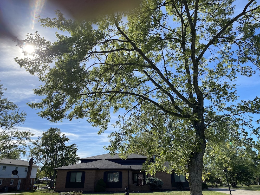 1 night FREE buy 4 get one free